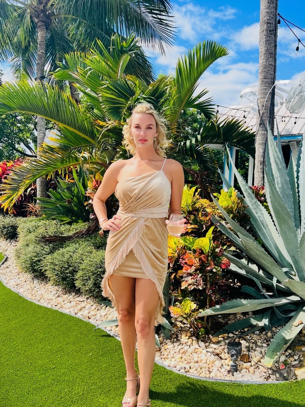 NWT Velvety champagne dress with fringe